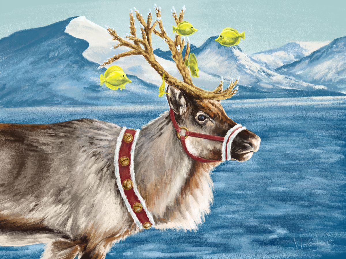 cardreindeer