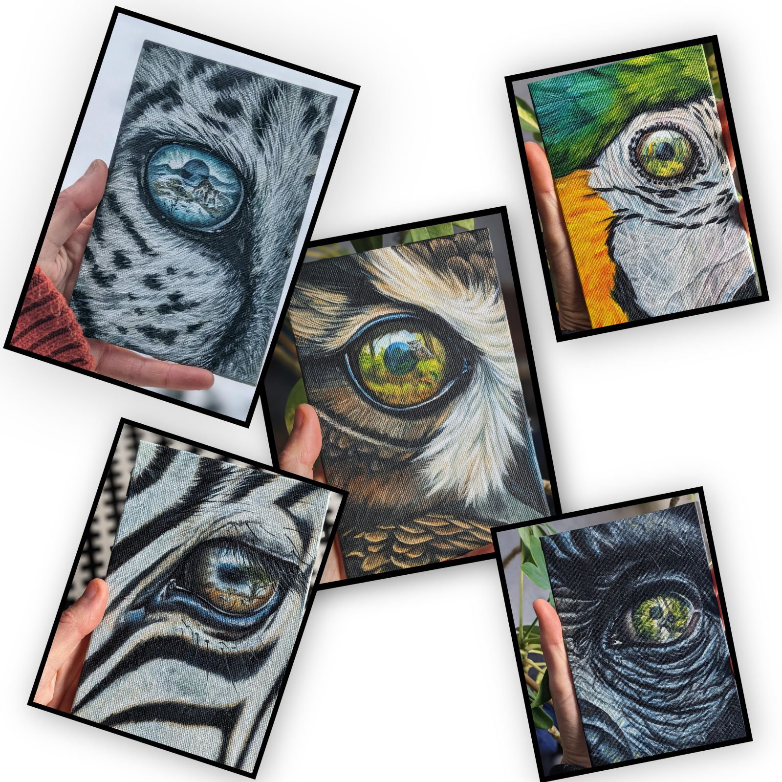 small oilpaintings animal eyes